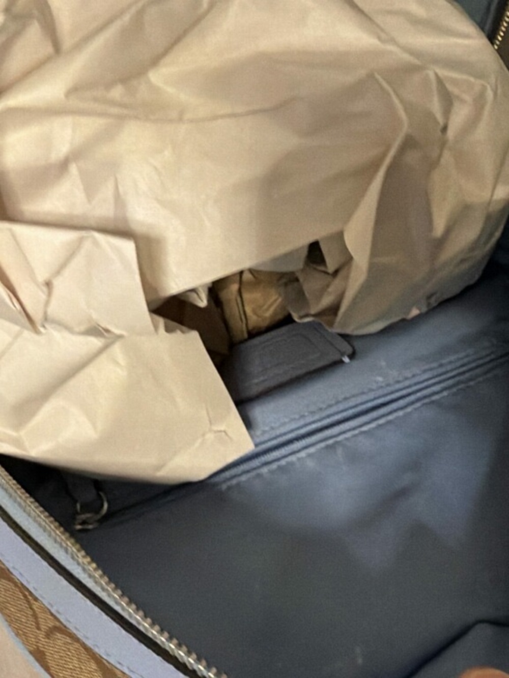 Backpack - Picture 3 of 3